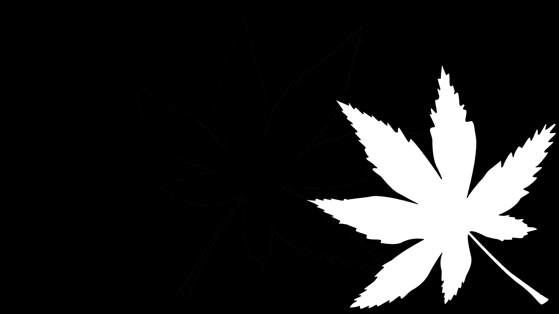 不超过64个字符