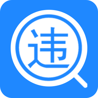 【商品已下架,新购请勿下单】全国车辆违章信息查询_369数据
