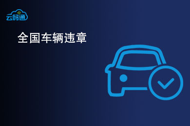 【云鉴】全国车辆交通违章记录查询-全国实时违章查询-违章详情-交通违章 (支持新能源车及大型货车违章查询)