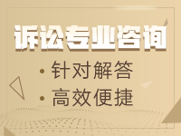 知识产权诉讼咨询