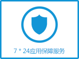 【7*24应用保障代维】服务器代维 安全防护 保障业务稳定运行