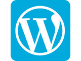 WordPress建站系统(含Divi主题 | LAMP)