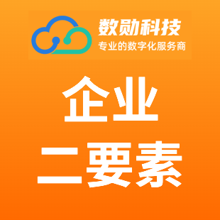企业二要素校验_企业工商二要素核查_企业工商二要素验证【数勋API】-logo