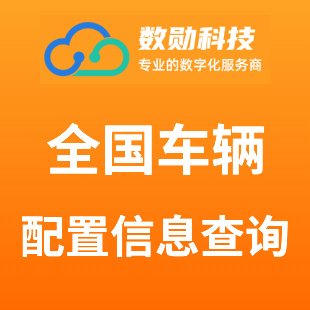 API Logo