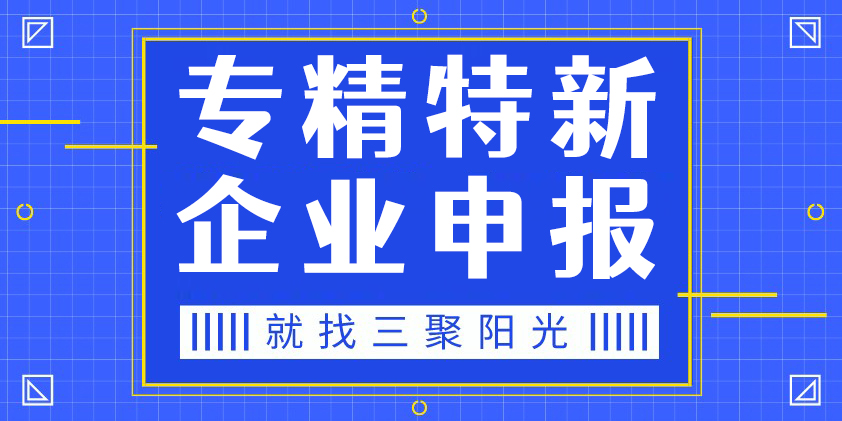 专精特新中小企业/小巨人申报咨询代理