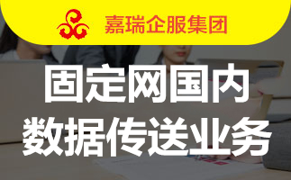 固定网国内数据传送业务