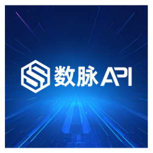 发票抬头-发票查询-发票信息查询-发票抬头信息查询-发票查询【数脉API】-logo