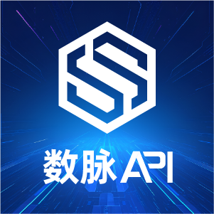 【数脉API】动产抵押核查-抵押物详细信息-抵押权人信息-被担保债权情况-债务人履行债务期限-logo