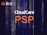 CloudCare云专家服务专业级支持服务包 PSP