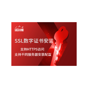 公司企业站长 中高级ssl证书 加密网站HTTPS配置 SSL证书代购申请 网站域名防劫持