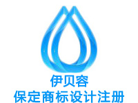 保定注册商标申请公司个人品牌设计商标注册赠灯光商城网站建设小程序保定