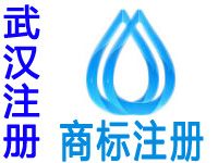 武汉注册商标申请公司个人品牌设计商标注册武汉赠机构商城网站建设小程序