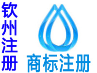 贵港注册商标申请公司个人品牌设计商标注册贵港赠租赁商城网站建设小程序