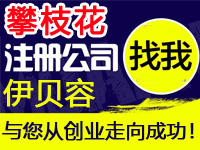 攀枝花公司注册工厂个体代办营业执照赠入驻分销商城网站建设标注册公司攀枝花