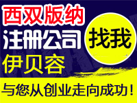 西双版纳公司注册工厂营业执照商标个体环境质量管理体系认证验厂行业标准代办注册公司软件著作版权多商户入驻分销商城网站建设注册公司