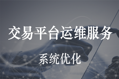 【君云 专注运维】企业金融 电商 交易平台服务器运维防攻击 服务器代维 7x24小时代维 服务器维护 专业运维服务 网站托管