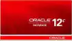 Oracle 12C数据库 CentOS 8.1 64位