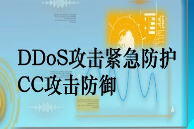 【DDoS攻击流量清洗服务】DDoS攻击防御 CC攻击防御 特大流量清洗 海内外无限防 DDOS...