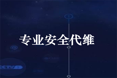 技术人员驻场 安全工程师驻场 技术外包 技术外派 技术上门