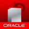 Oracle数据库安装 数据库优化 性能优化 整站优化  程序优化 