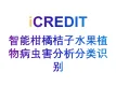 智能图像分析-智能柑橘桔子水果植物病虫害分析分类识别-艾科瑞特（iCREDIT）
