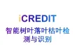 智能图像分析-智能树叶落叶枯叶检测与识别-艾科瑞特（iCREDIT）