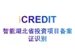 印刷文字识别-智能湖北省投资项目备案证识别-艾科瑞特（iCREDIT）