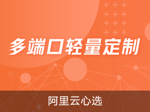 多端口轻量定制开发