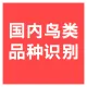 【快瞳AI】鸟类品种识别_国内2000+鸟类品种识别_鸟类生态监测/智能喂鸟器-支持私有化/边缘部署