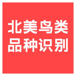 【快瞳AI】鸟类品种识别_北美地区2000+种_鸟类监测/智能喂鸟器_快瞳科技-logo