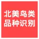 【快瞳AI】鸟类品种识别_北美地区2000+种_鸟类监测/智能喂鸟器_快瞳科技