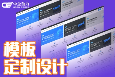 模板建站企业官网设计制作服务