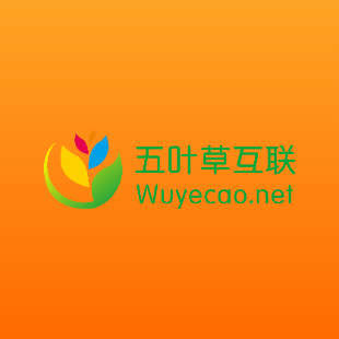 【云速成美】H5建站SaaS一站式服务