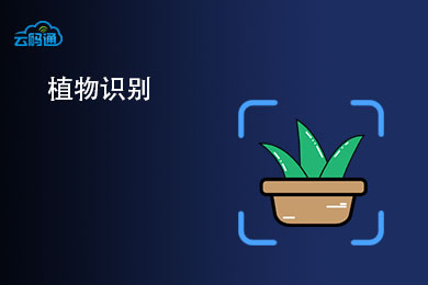 植物识别