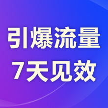 瑞蚁 官网优化 营销推广 网站推广 SEO搜索引擎优化 快速提升网站排名 索引擎推广 【超低价】
