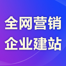 瑞蚁·企业展示官网 模板网站 PC站 手机网站 微站 收录快 营销推广效果好