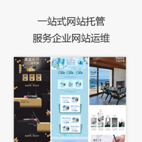 瑞蚁 网站设计服务年度维护包 托管维护