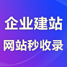 瑞蚁网站建设 秒收录网站 百度快照 快速收录网站建站 建站速度快买两年送两年