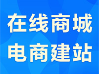 【瑞蚁云建站】SAAS版-B2C商城系统自动部署【pc+手机+公众号+小程序】、电商建站、免主机维护