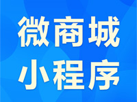 【瑞蚁微商城小程序】零售电商智能小程序 适用于微信公众号、微信小程序