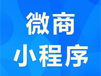 【瑞蚁分销小程序】微店解决方案,直销 分销 进销存 适用多行业的轻应用商城小程序