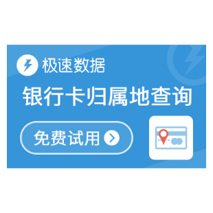 API Logo