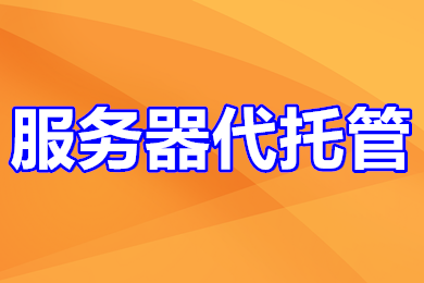 服务器托管 云服务器代维包年7*24时服务 ECS运维 ECS代维 服务器运维 服务器代运维-logo