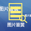 [数据翎数据】图片鉴黄,图片识别,图片辨别