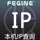 本机IP查询-本机IP地址查询-IP本地查询API