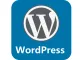 WordPress建站系统(人工搭建服务)