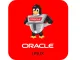Oracle Linux 6 Desktop