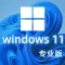 Windows 11 专业版 中文64位 (自动激活 | 2022年8月更新) win11_V21H2