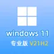 Windows 11 专业版 中文64位(自动激活|2024年更新)win11_V21H2