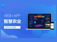 智慧农业智能灌溉烯烃农业溯源系统开发